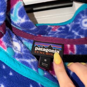 Patagonia Synchilla Fleece Pullover